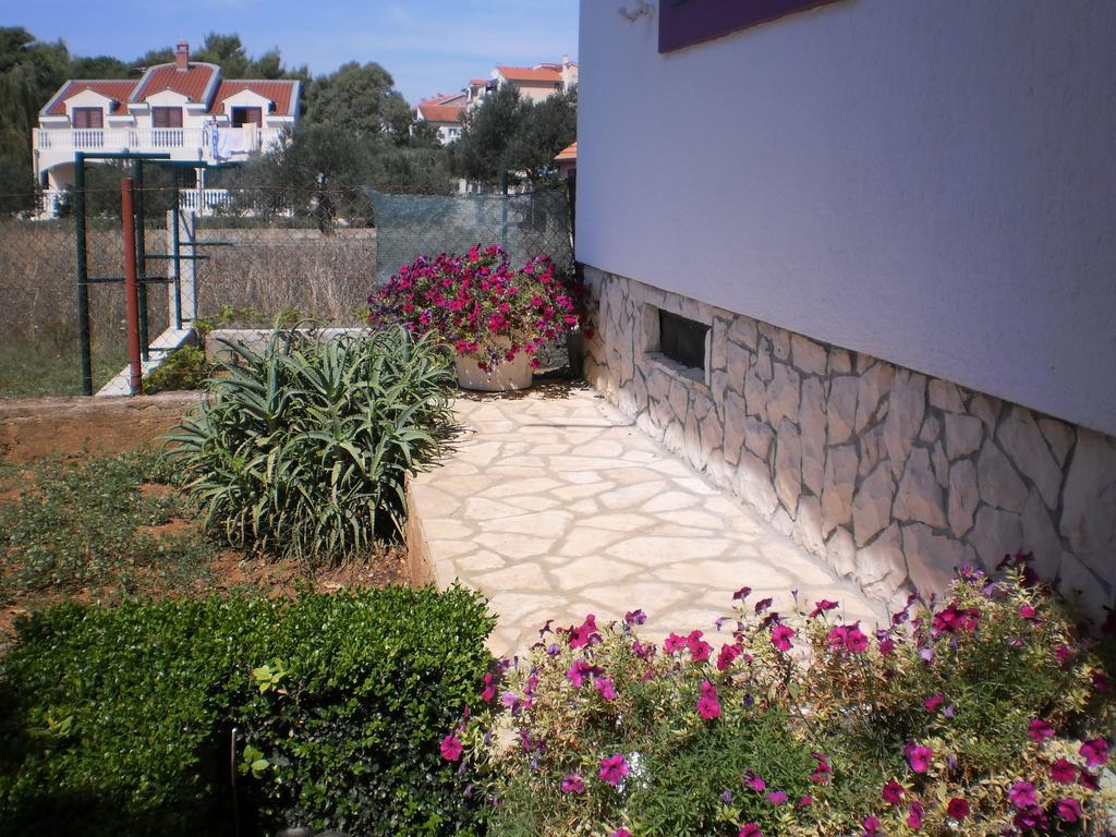 Boja Biograd Na Moru